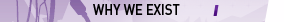 why we exist